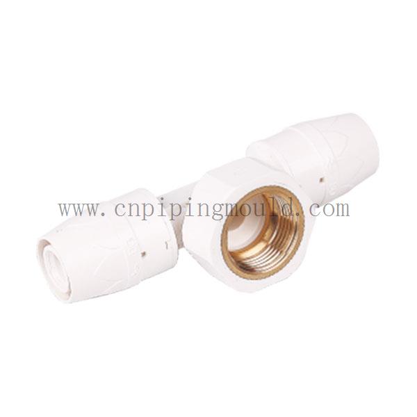 PPSU管件模具4